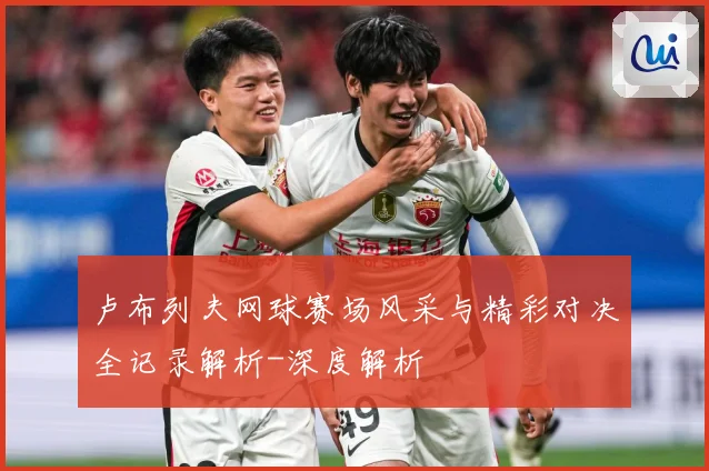 卢布列夫网球赛场风采与精彩对决全记录解析-深度解析
