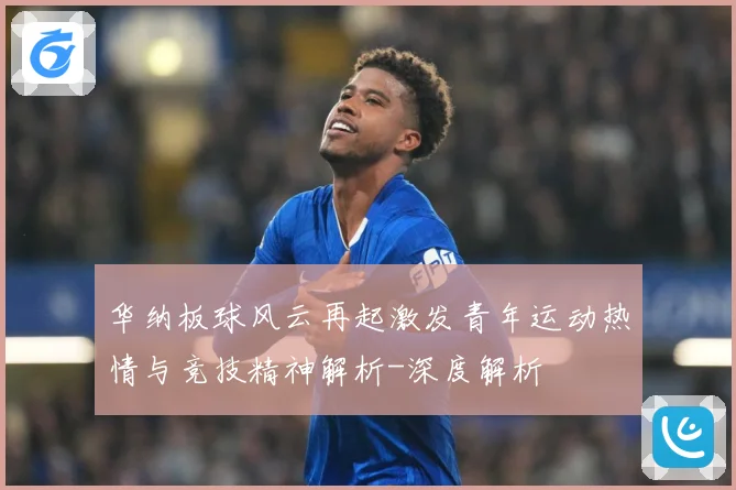华纳板球风云再起激发青年运动热情与竞技精神解析-深度解析