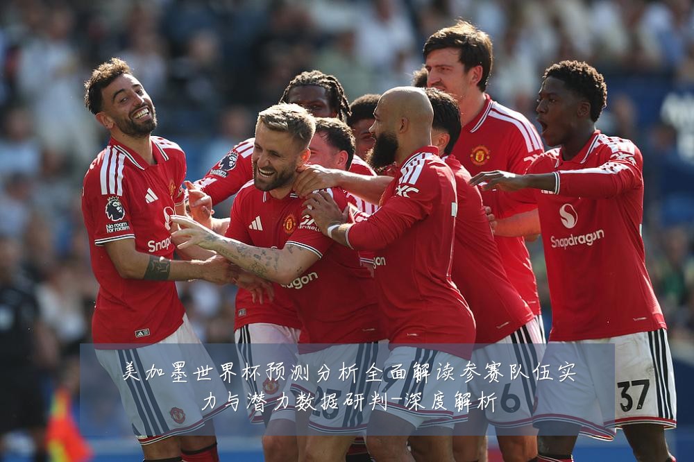 美加墨世界杯预测分析全面解读参赛队伍实力与潜力数据研判-深度解析