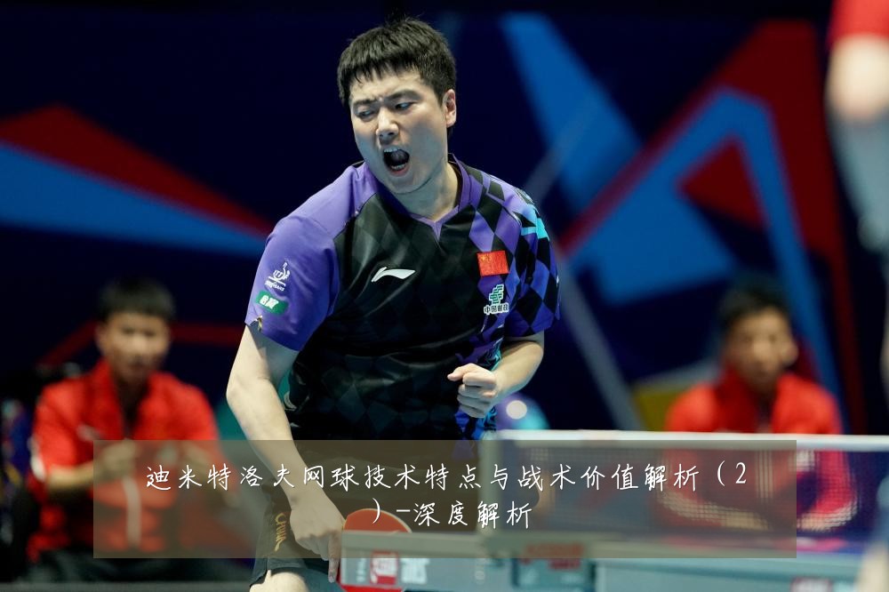 迪米特洛夫网球技术特点与战术价值解析(2)-深度解析